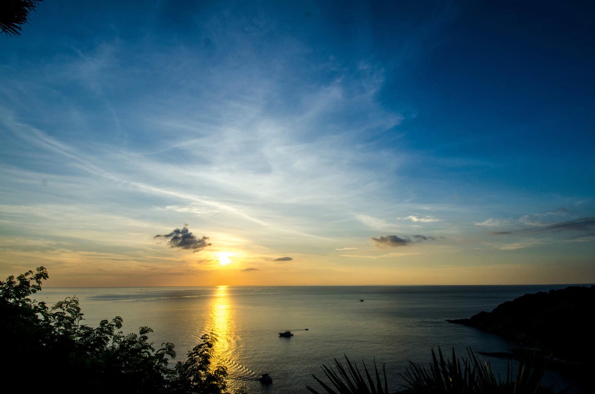 购入2手12 24后的几张作品