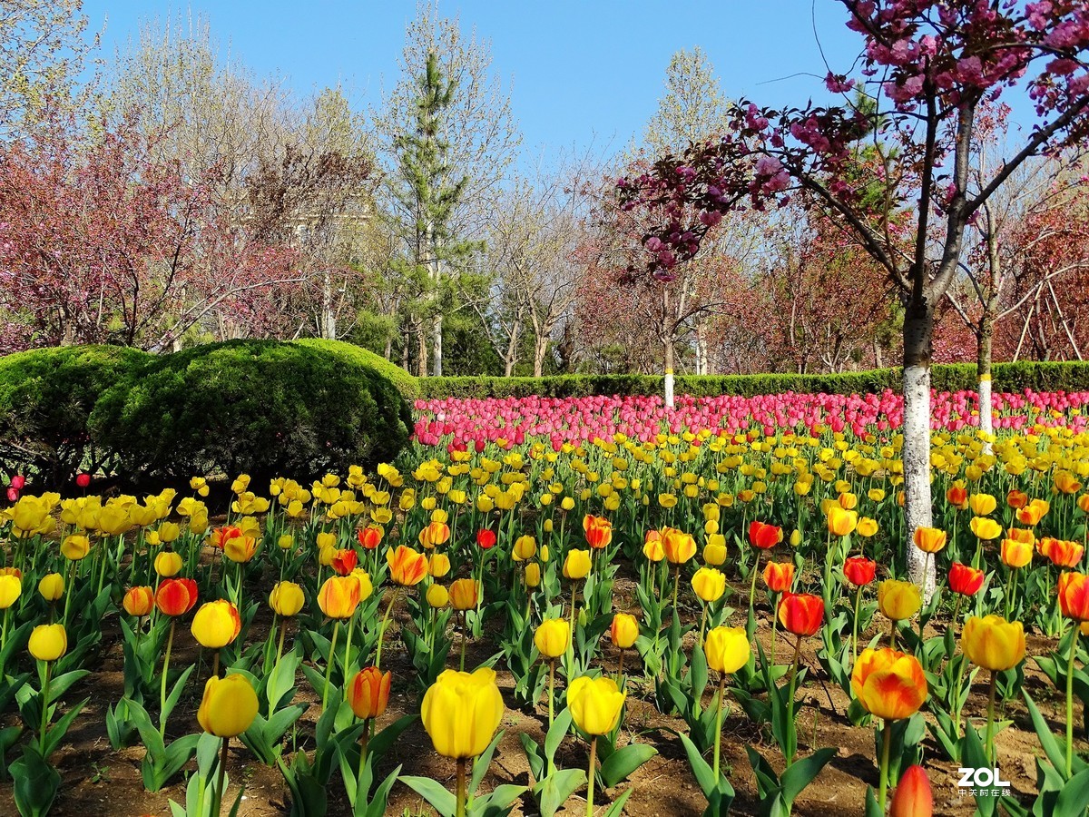 走走拍拍（2019年4月14日-4）