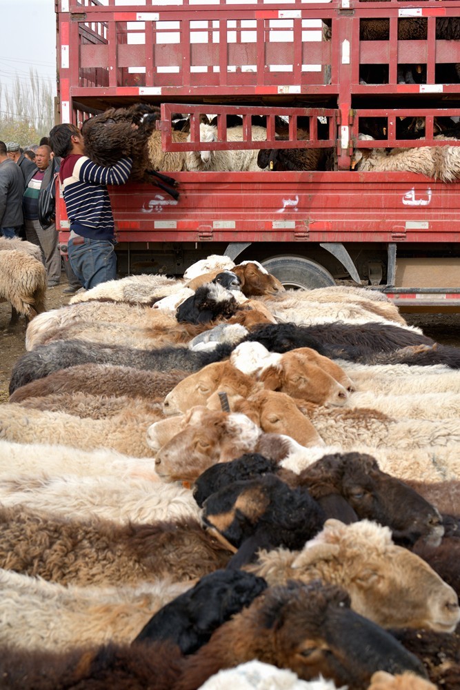 新疆是个好地方－喀什牛羊大巴扎