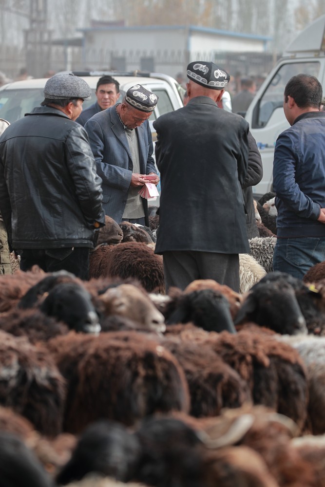新疆是个好地方－喀什牛羊大巴扎