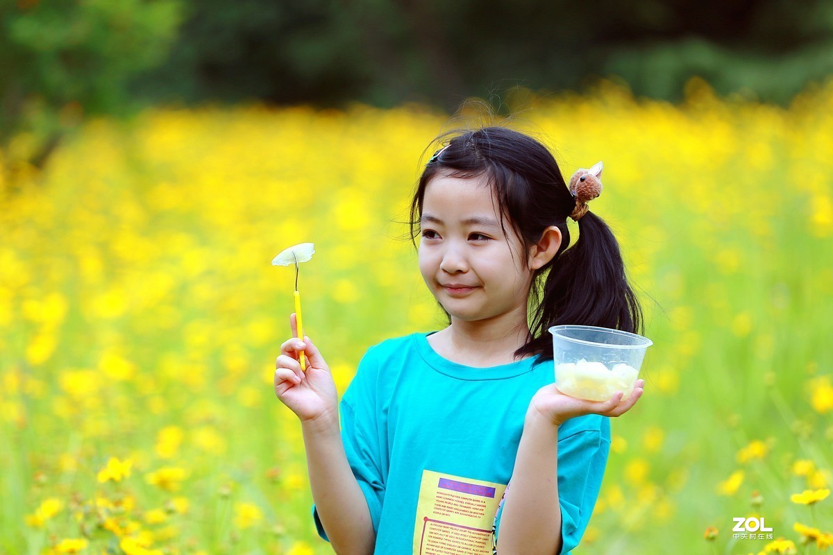 宁宁与邻家小妹妹
