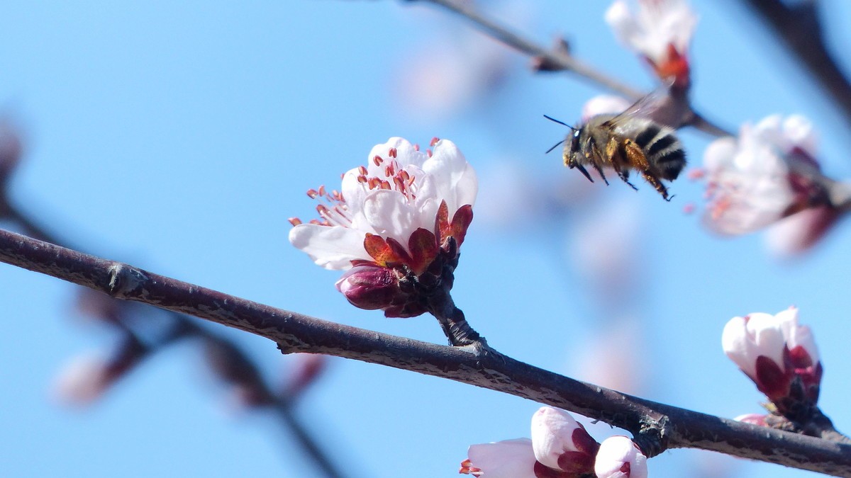 先开 先拍 先上帖