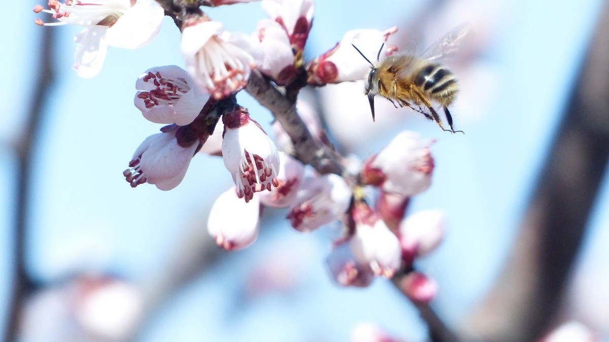 先开 先拍 先上帖