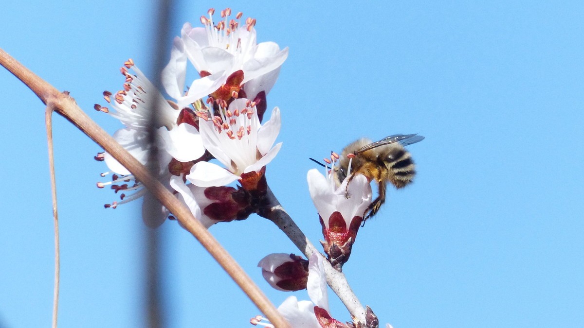 先开 先拍 先上帖