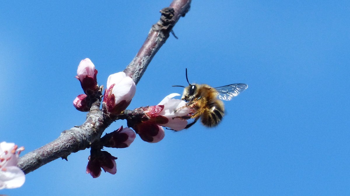 先开 先拍 先上帖