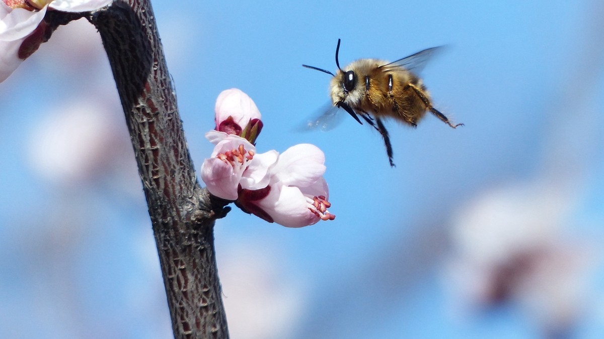 先开 先拍 先上帖