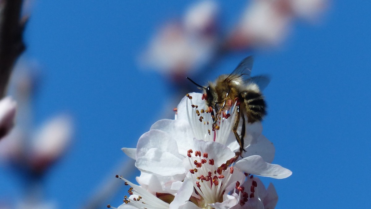 先开 先拍 先上帖