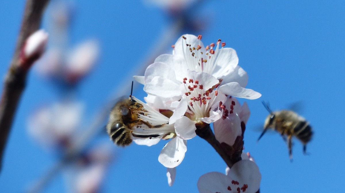 先开 先拍 先上帖