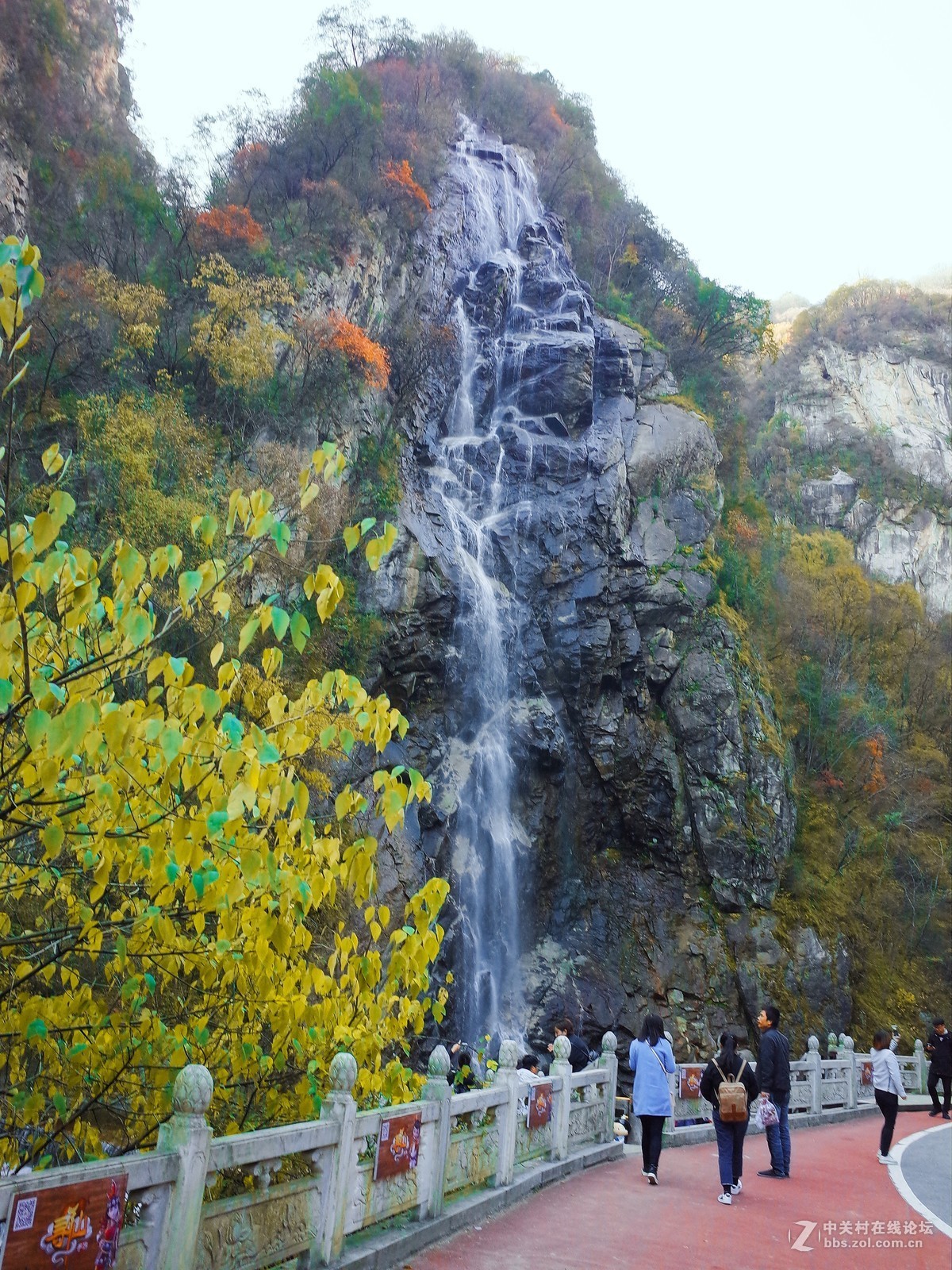 雪后 太白山拔仙台-中关村在线摄影论坛
