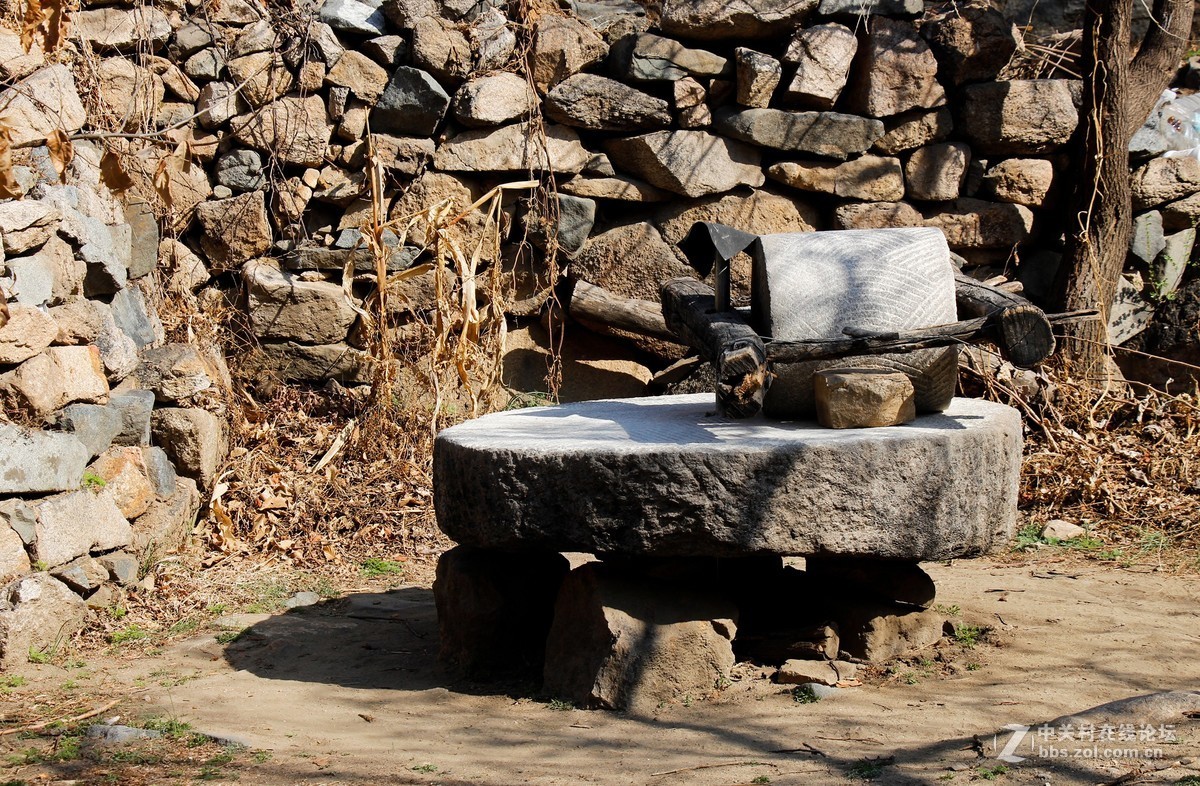 #正是一年最美时# 春到猕猴桃谷 续