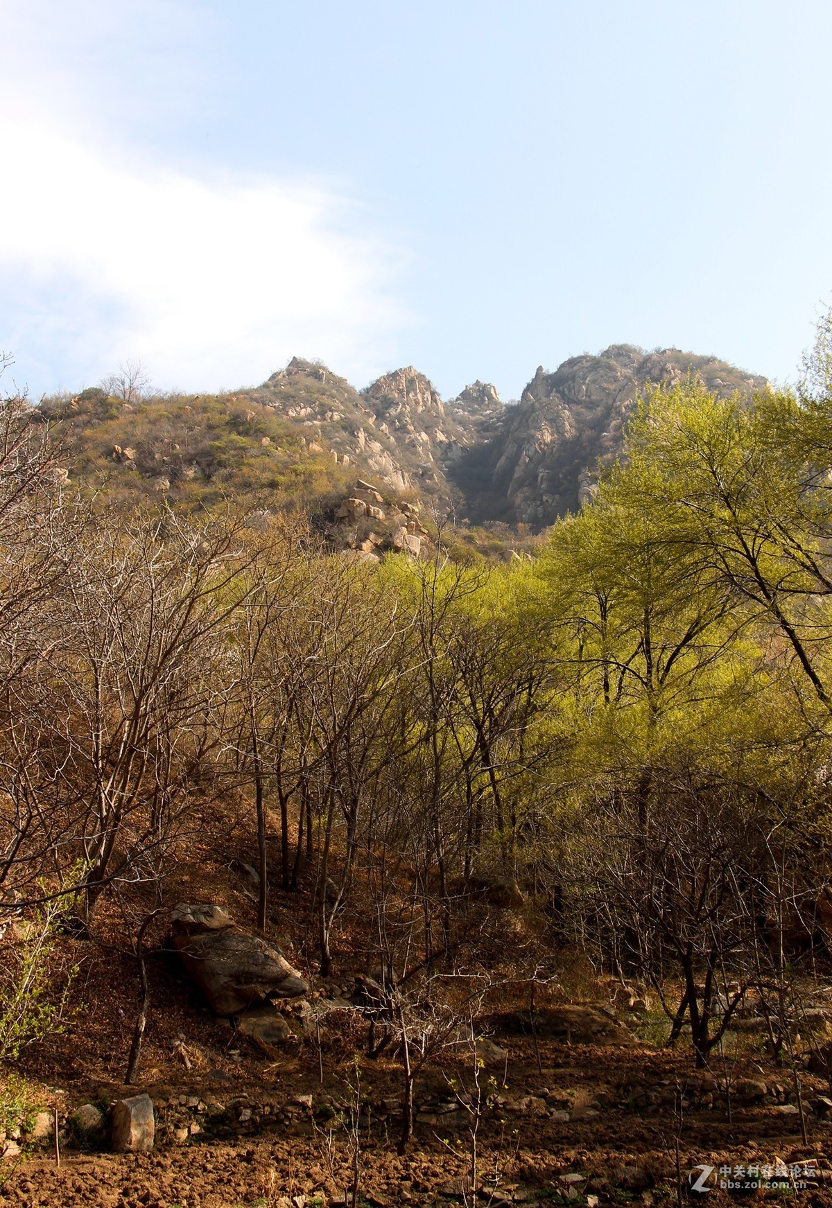 #正是一年最美时# 春到猕猴桃谷 续