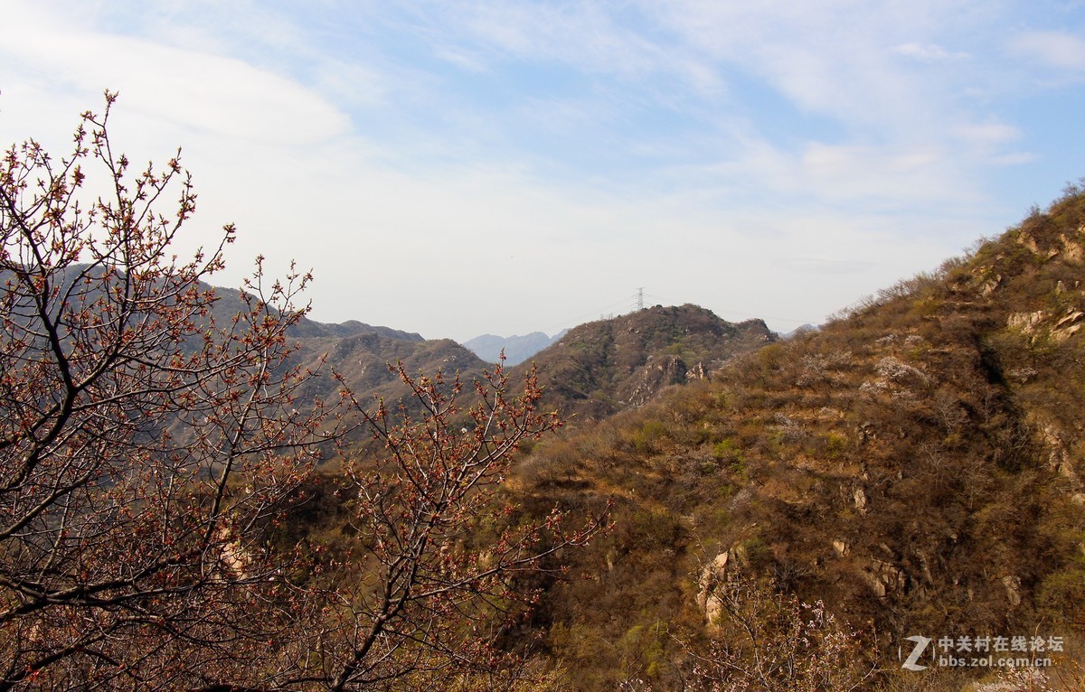 #正是一年最美时# 春到猕猴桃谷 续