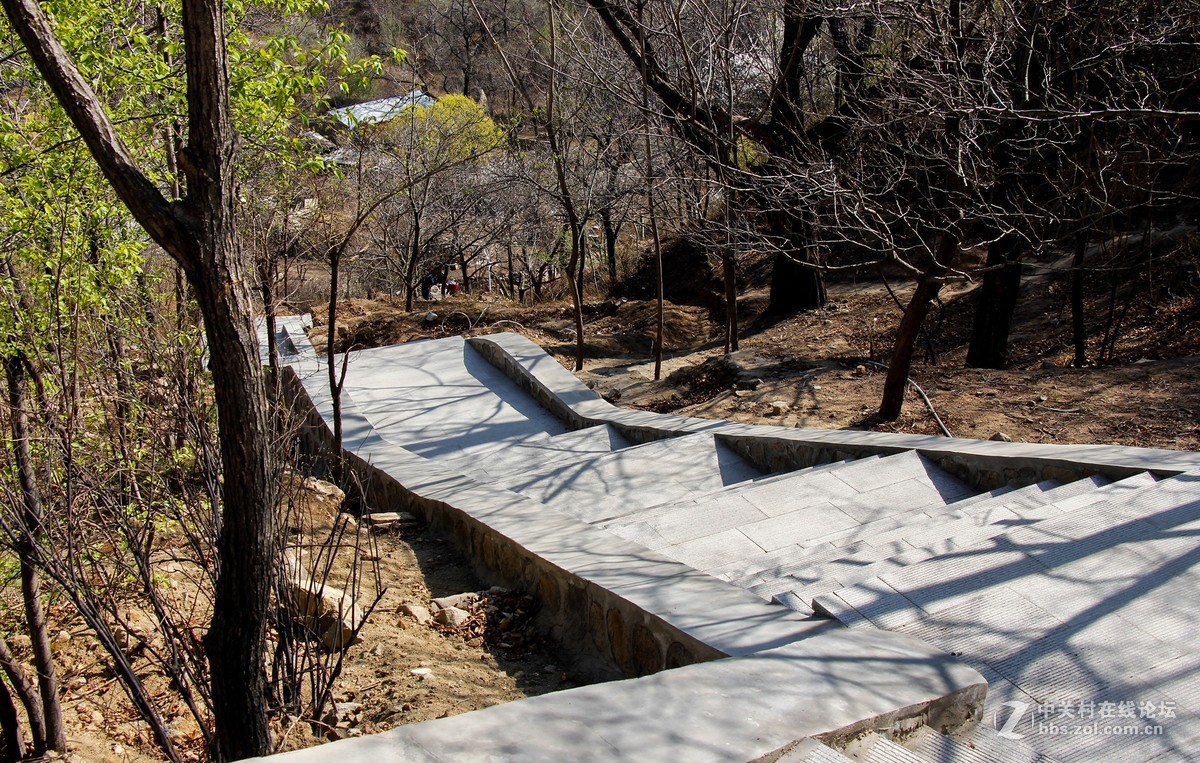 #正是一年最美时# 春到猕猴桃谷 续