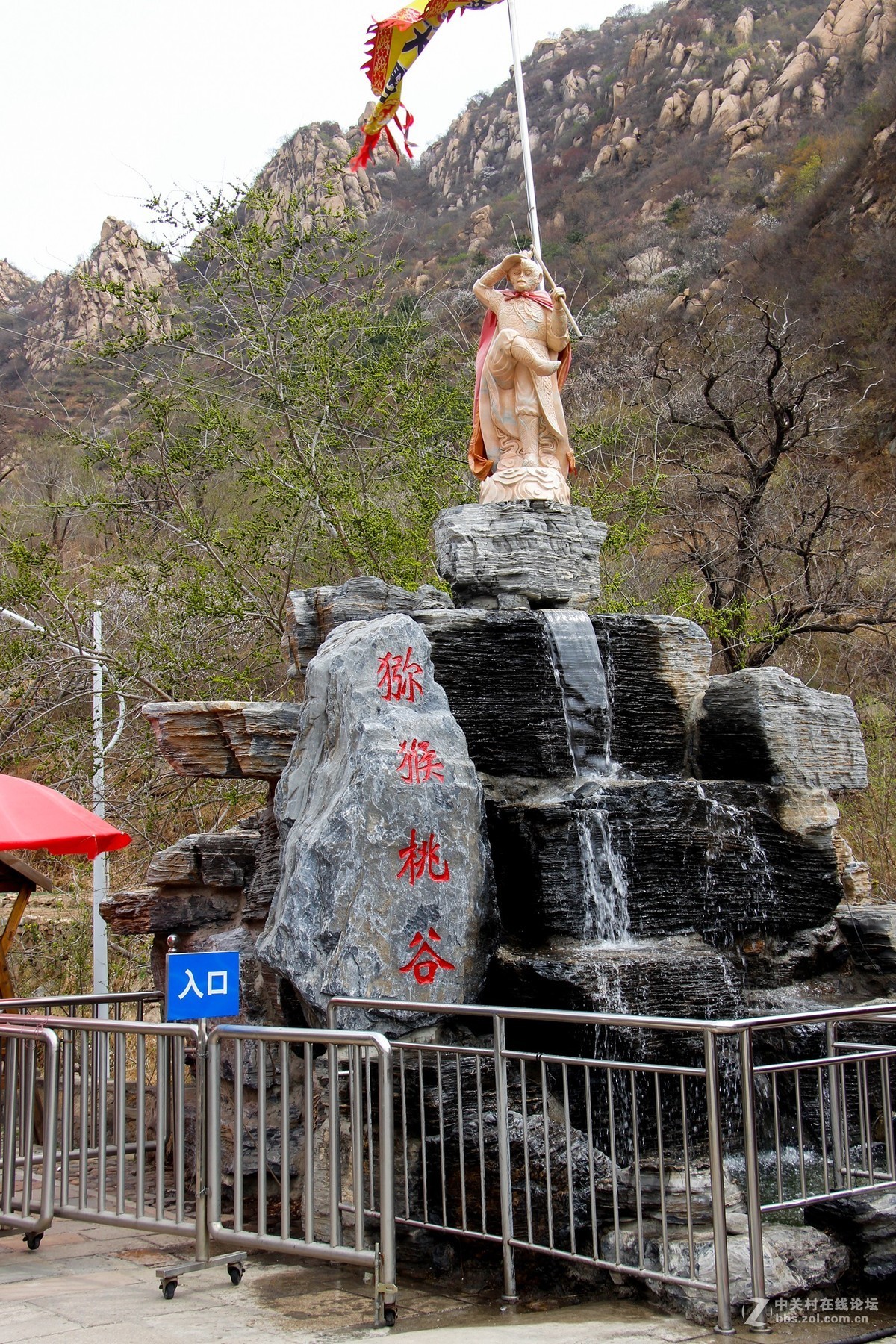 #正是一年最美时# 春到猕猴桃谷 续