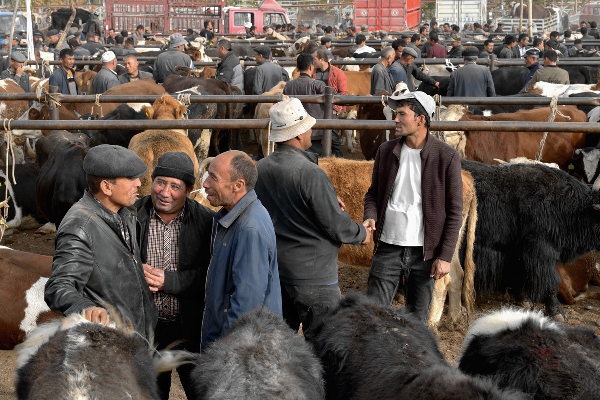 新疆是个好地方－喀什牛羊大巴扎