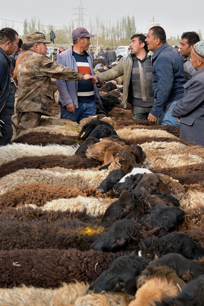 新疆是个好地方－喀什牛羊大巴扎