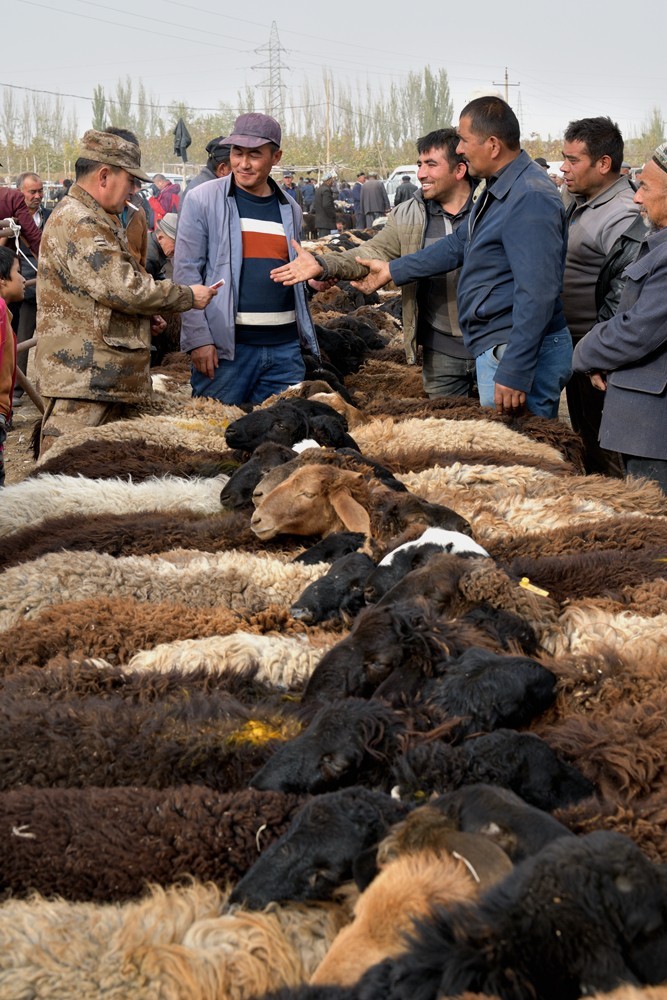 新疆是个好地方－喀什牛羊大巴扎