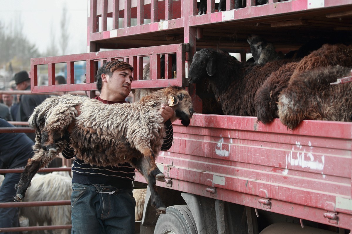 新疆是个好地方－喀什牛羊大巴扎