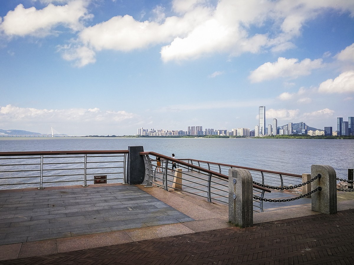 深圳灣紅樹林公園掠影