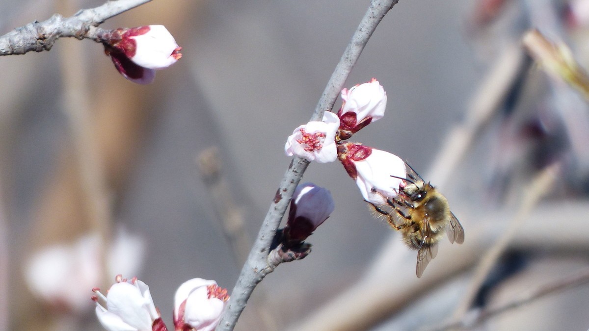 先开 先拍 先上帖