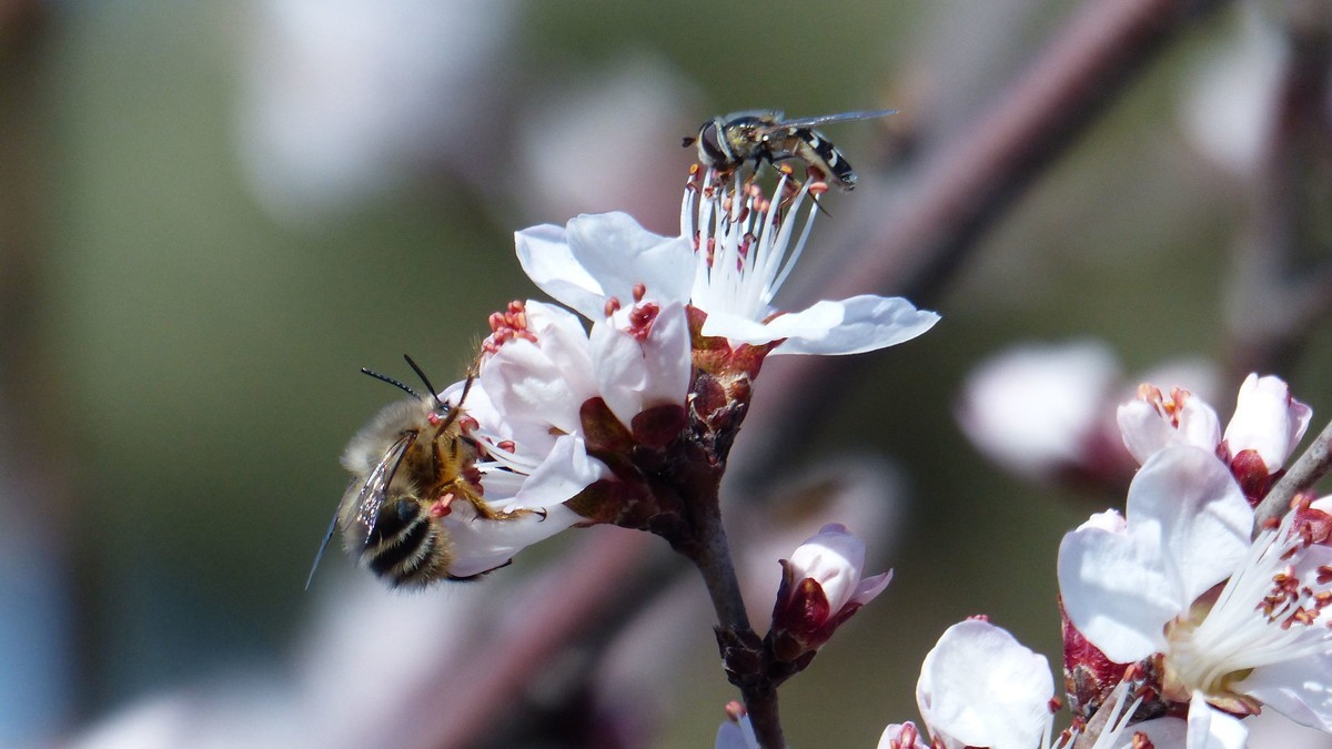 先开 先拍 先上帖