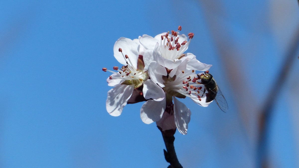 先开 先拍 先上帖