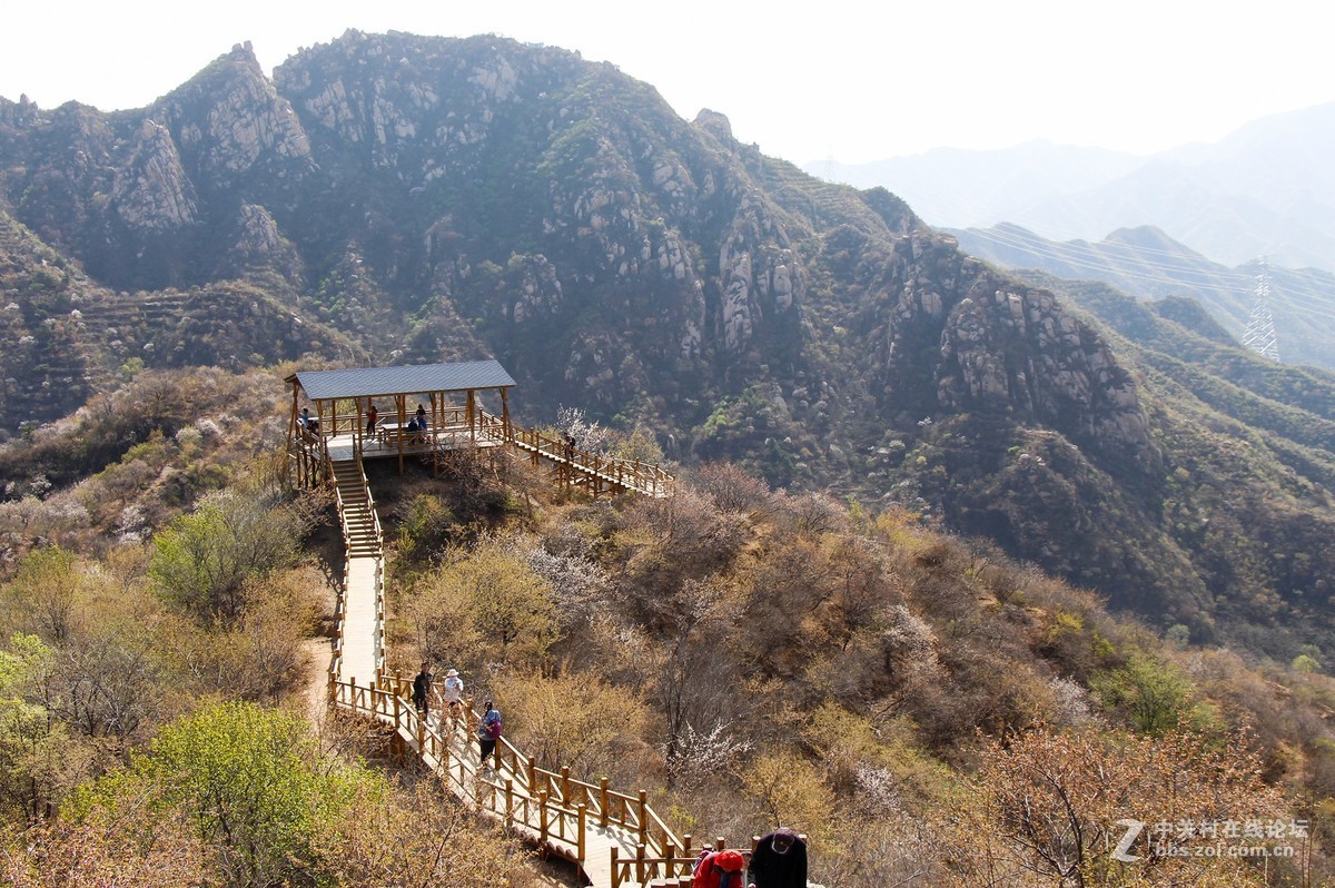 #正是一年最美时# 春到猕猴桃谷 续