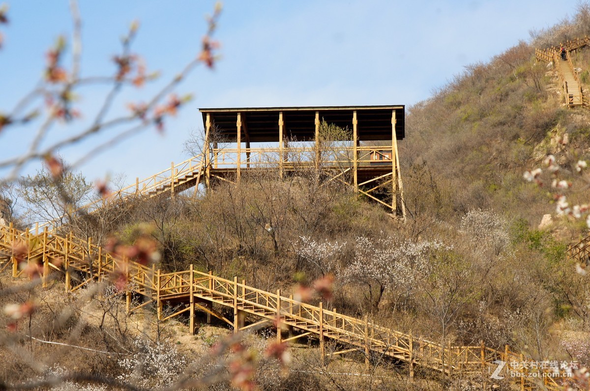 #正是一年最美时# 春到猕猴桃谷 续