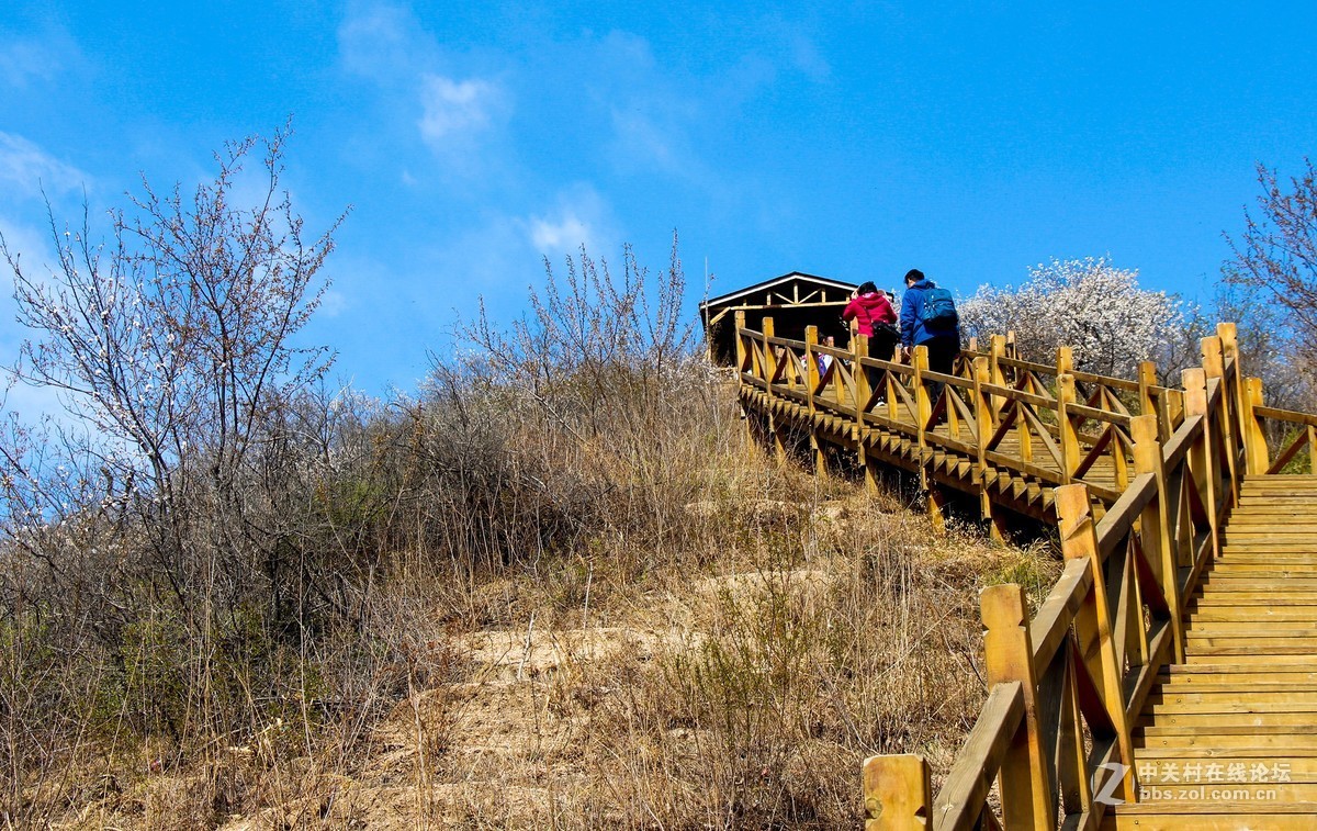 #正是一年最美时# 春到猕猴桃谷 续