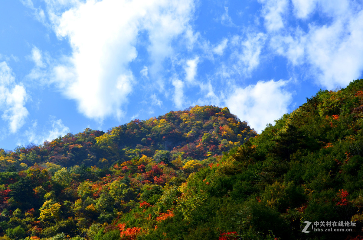 大爱秦岭--深秋篇