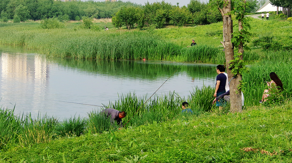 蒲河之夏钓鱼