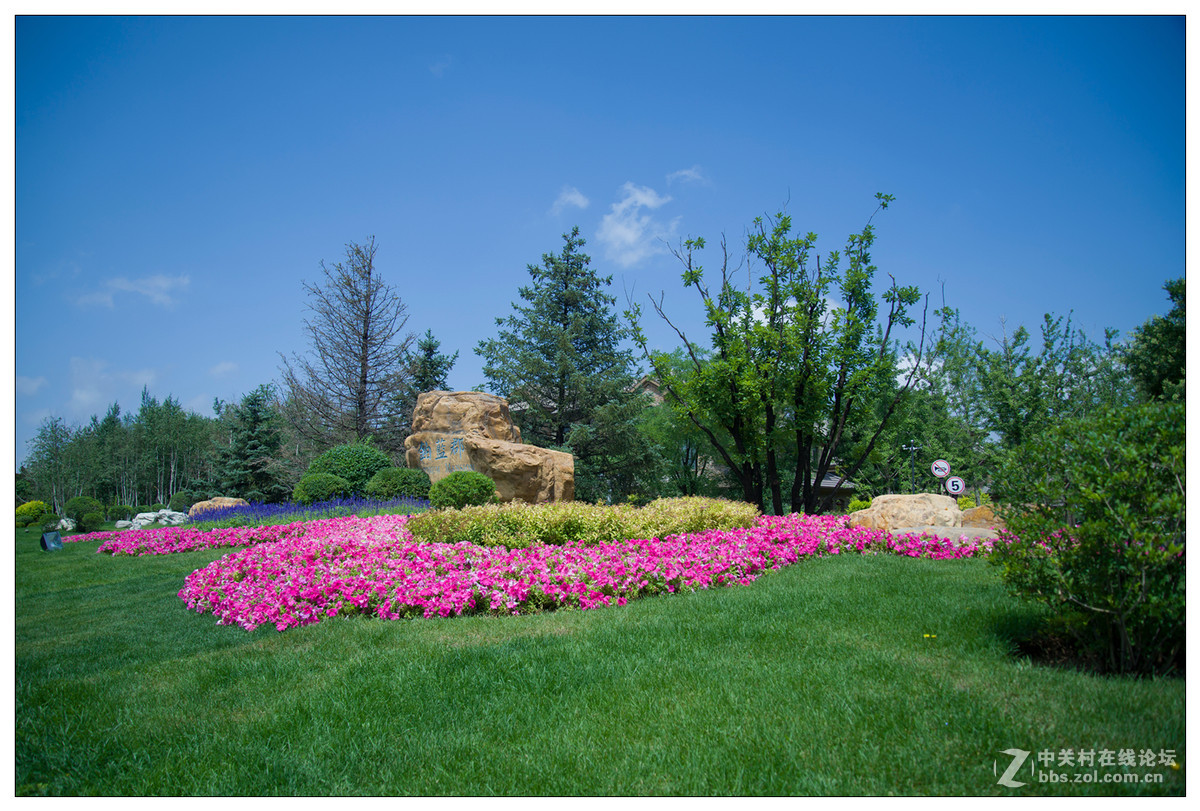 雨后随拍---初试D610