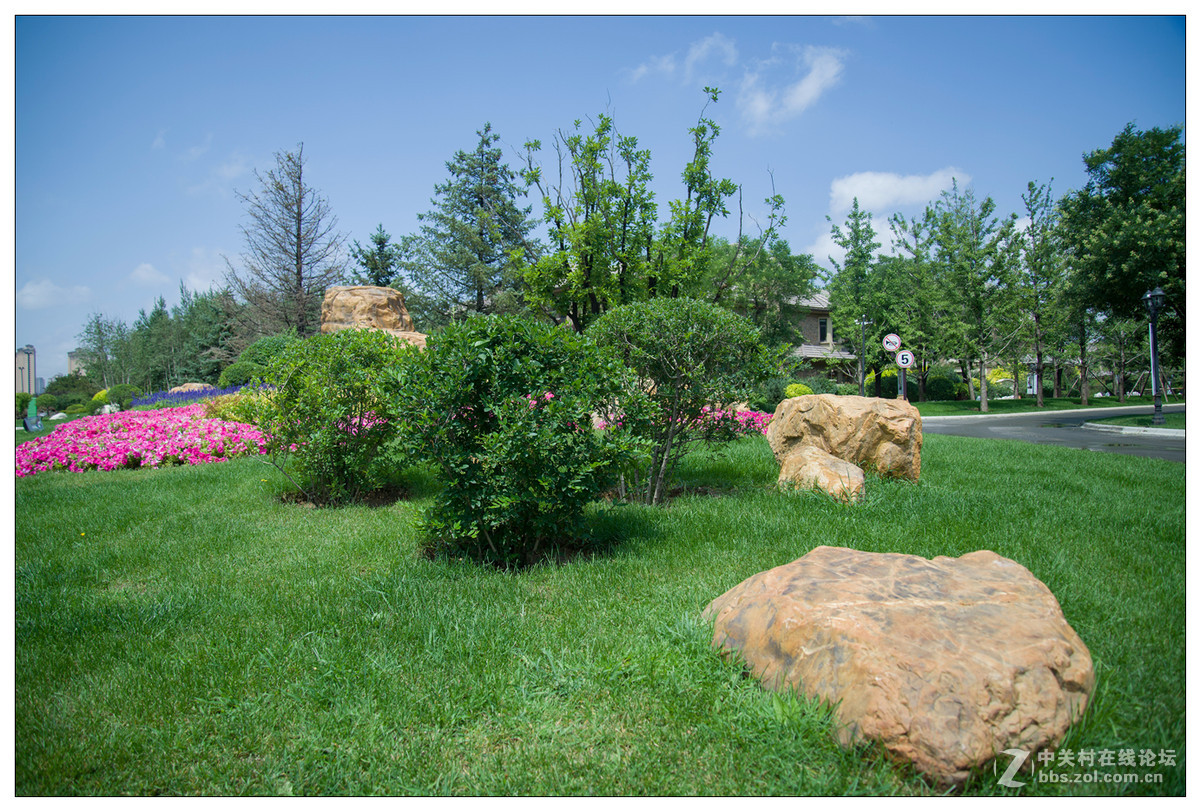 雨后随拍---初试D610