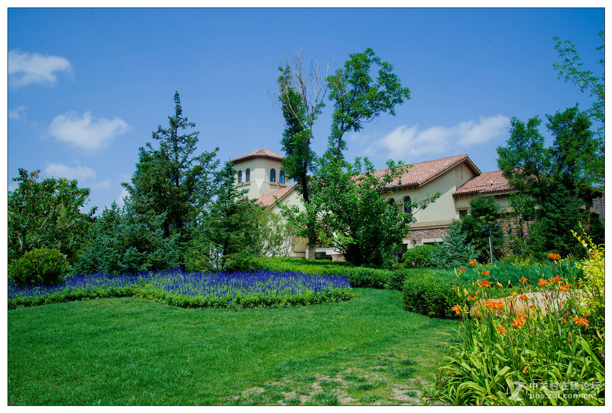 雨后随拍---初试D610