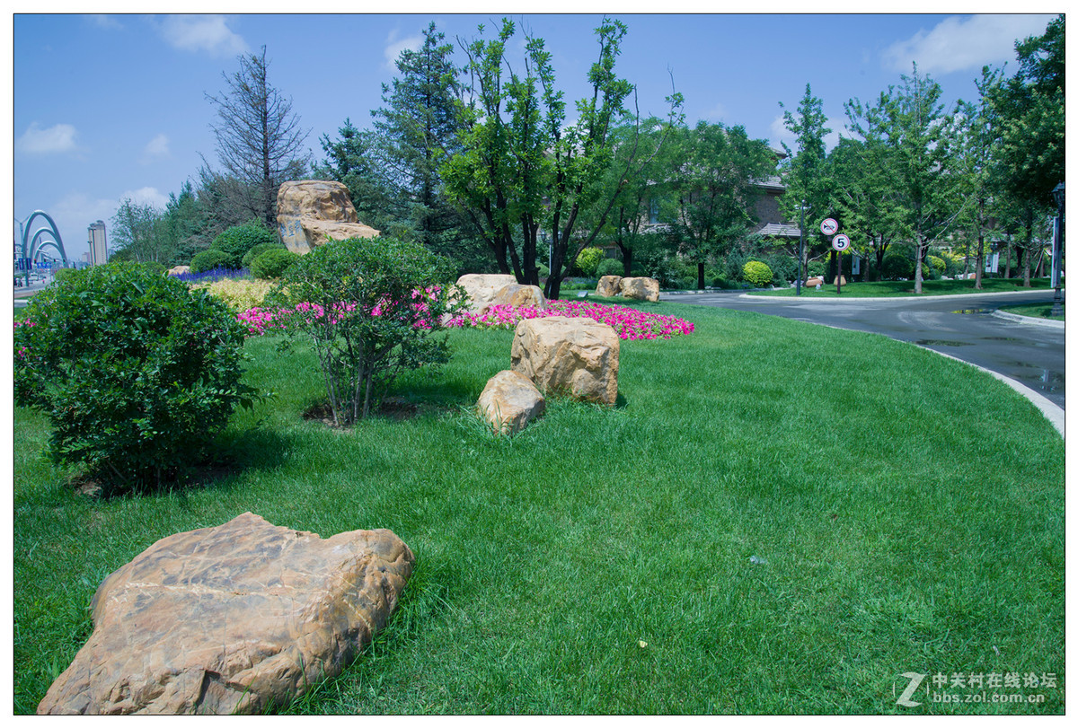 雨后随拍---初试D610