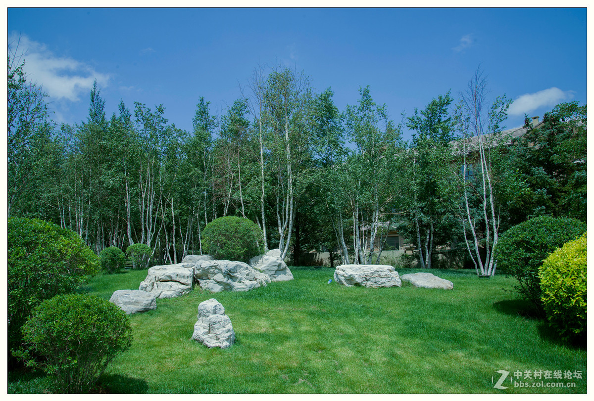 雨后随拍---初试D610