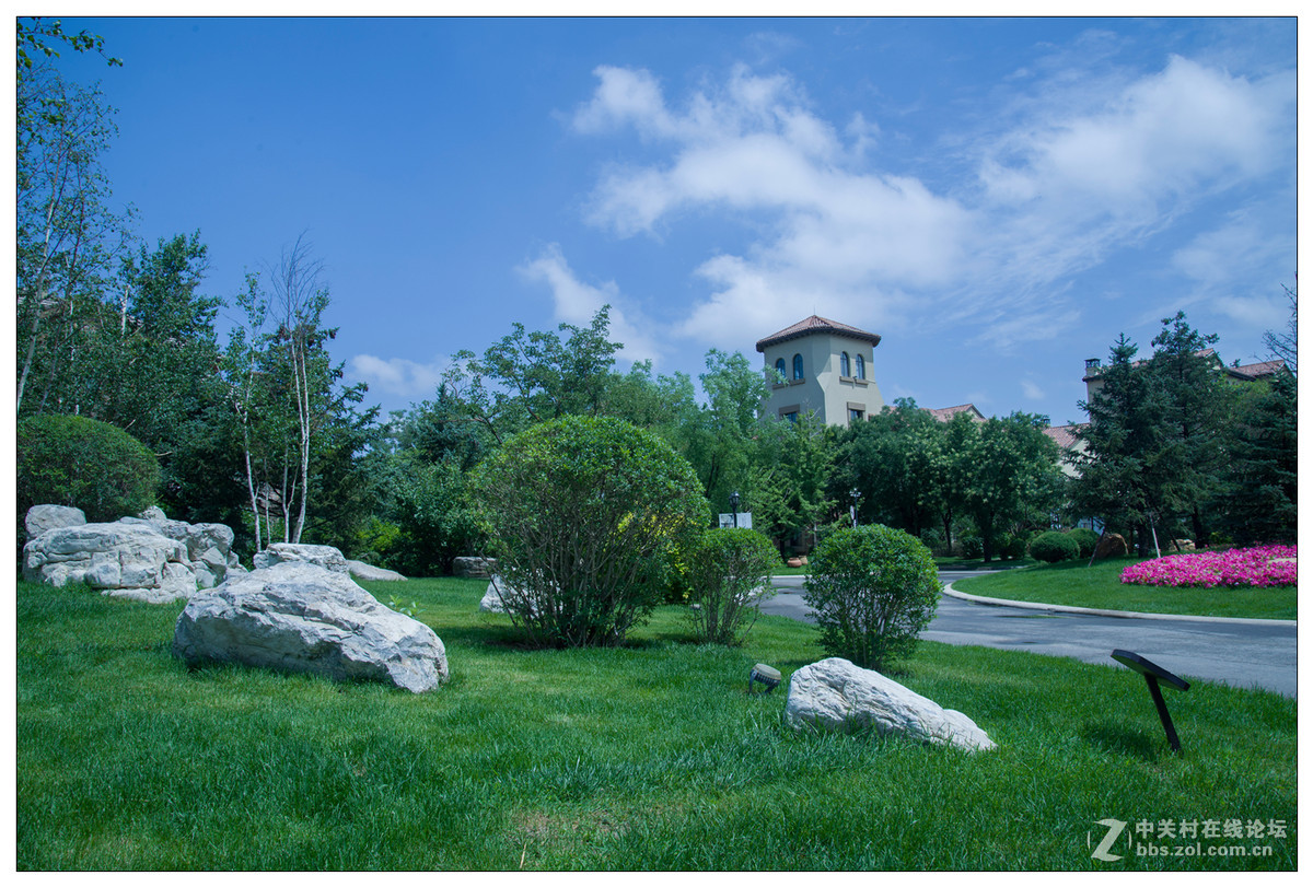 雨后随拍---初试D610