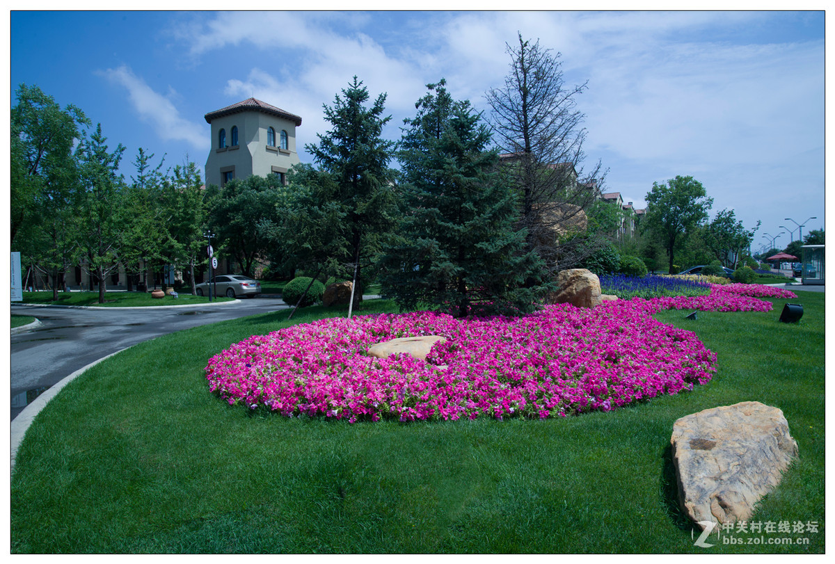 雨后随拍---初试D610