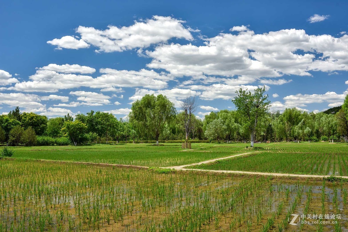 昨天北京上演“蓝天白云”秀