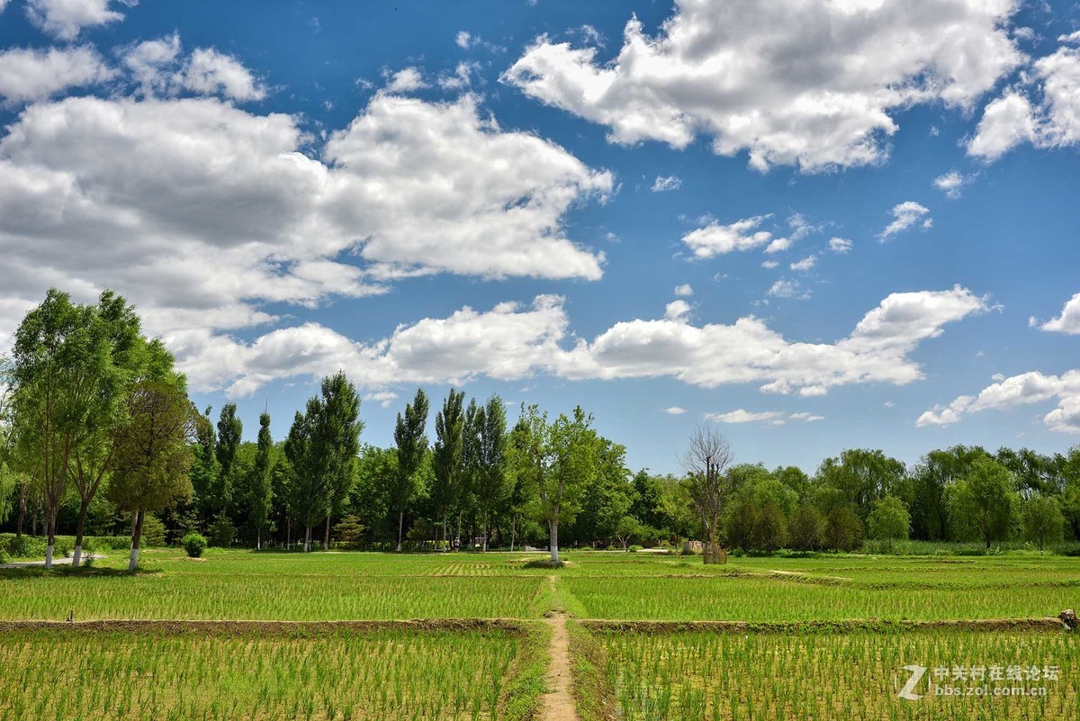 昨天北京上演“蓝天白云”秀