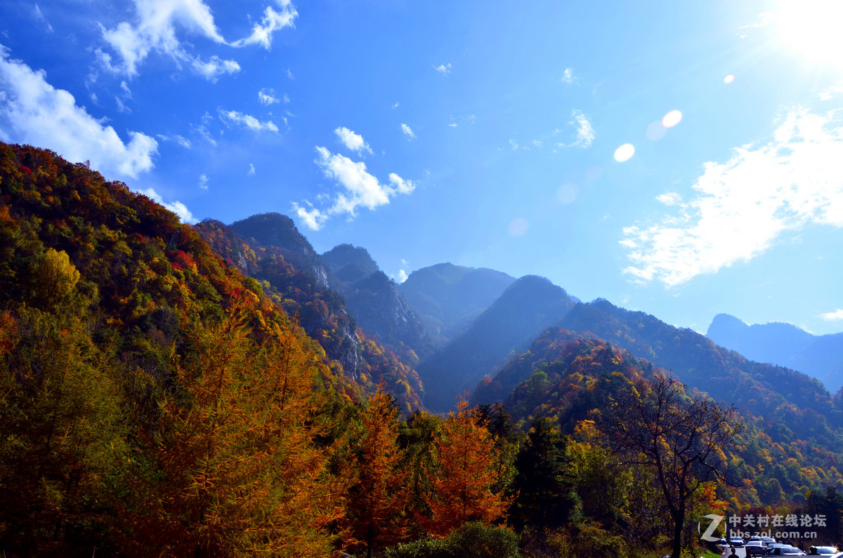 大爱秦岭--深秋篇