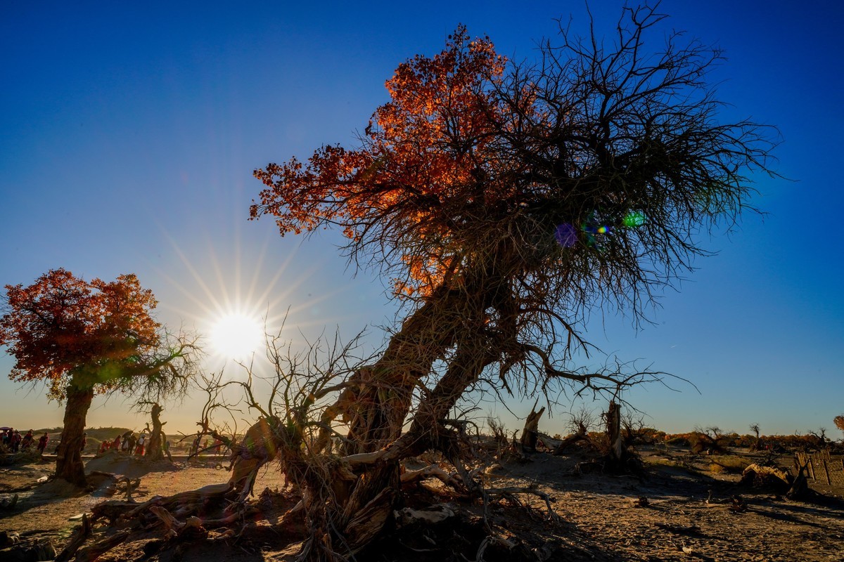 西行漫记--索尼微单战队西征记 （十六）额济纳
