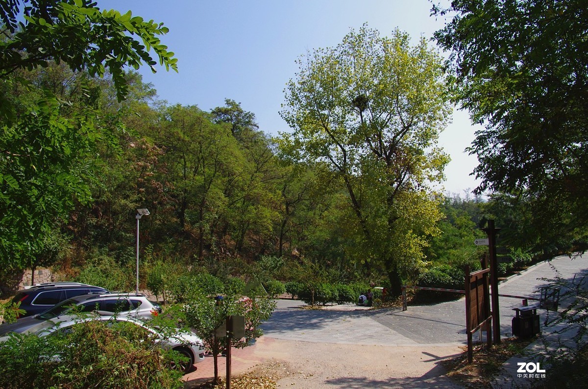 【青岛百果山森林公园-续】-15P