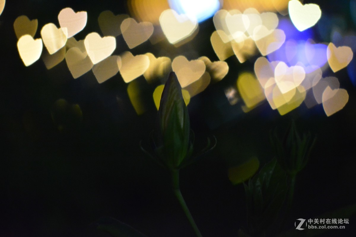 D5200加国产凤凰50mm f1.7镜头玩焦外