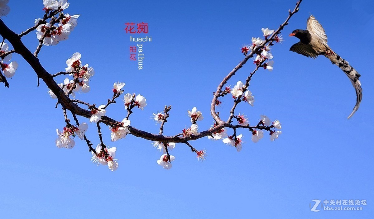 #版主坐堂# 尼康镜头星空(中国)2019年4月部分优秀作品欣赏