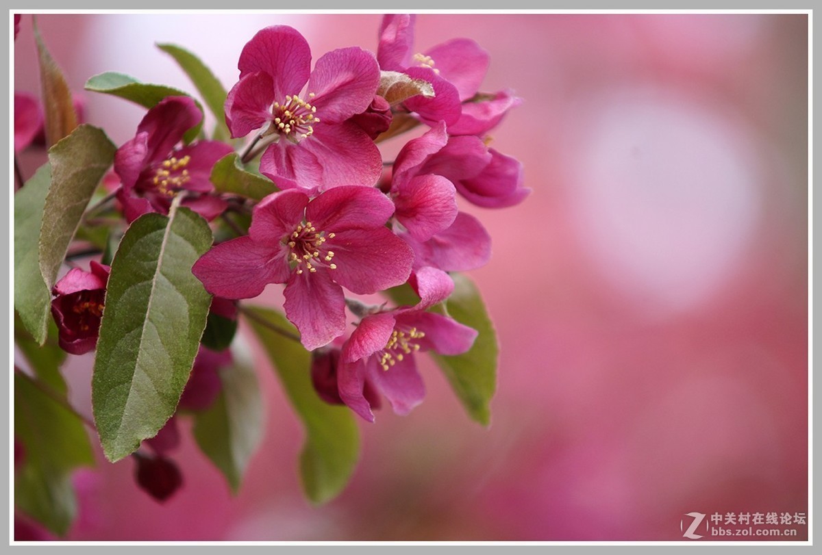 #版主坐堂# 尼康镜头星空(中国)2019年4月部分优秀作品欣赏