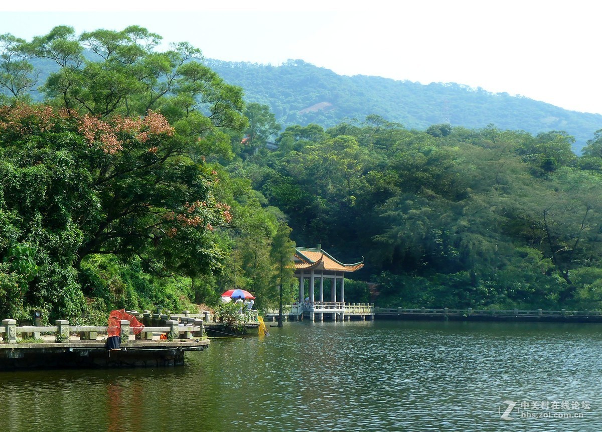 zs7退役专集三（水绿山清入画来）