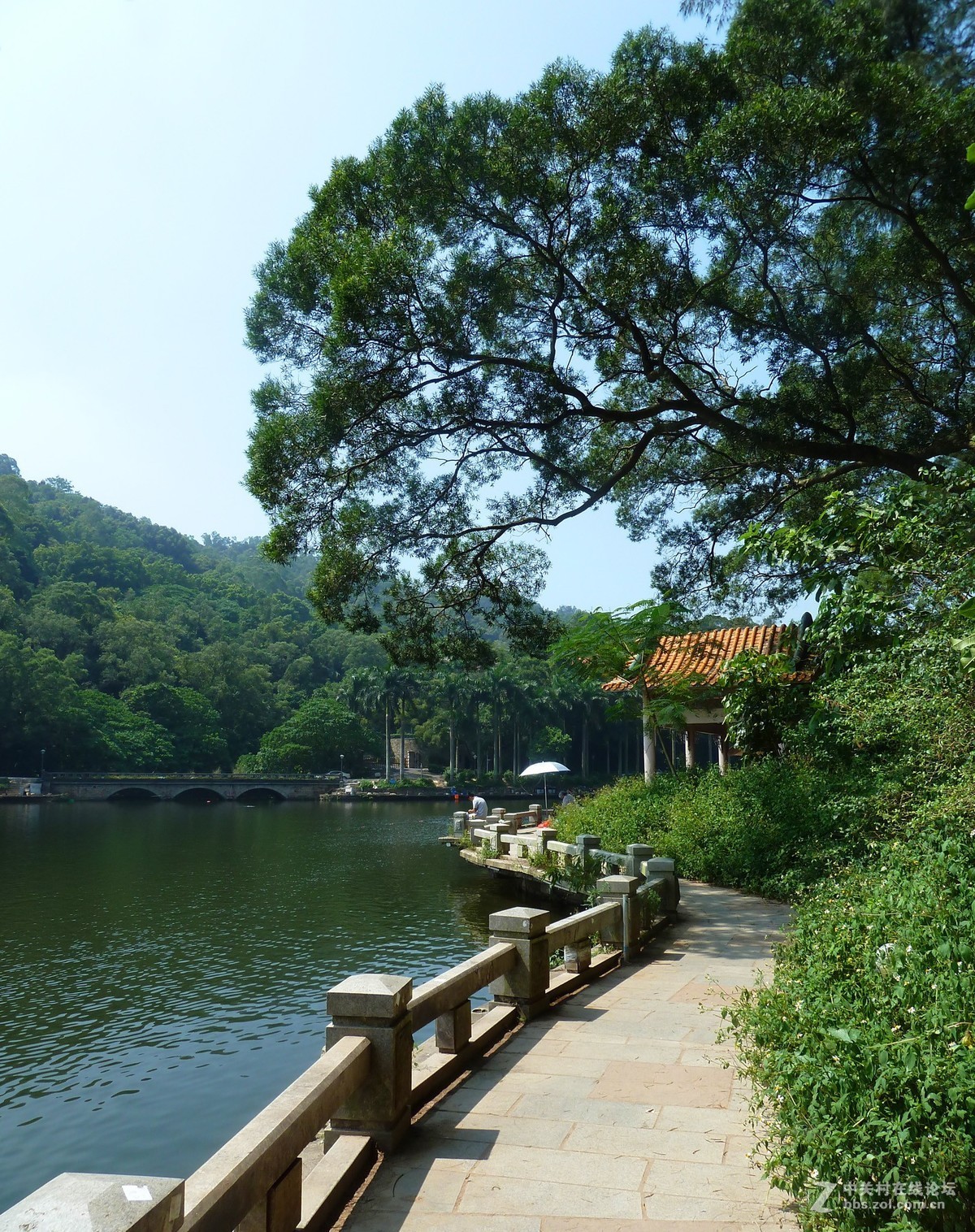 zs7退役专集三（水绿山清入画来）