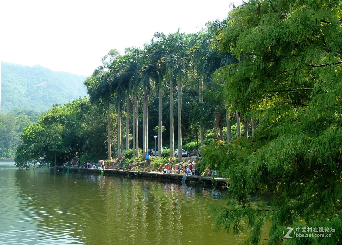 zs7退役专集三（水绿山清入画来）