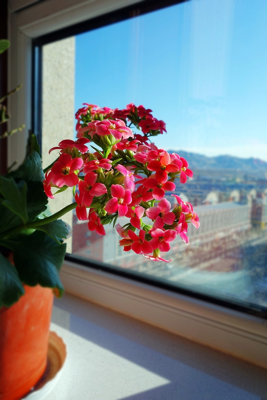 杂拍一组，黑卡拥有八年整。